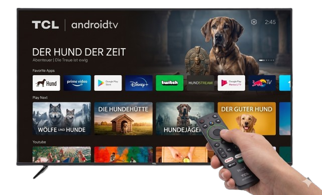 payra Premium IPTV Service on 4K Smart TV